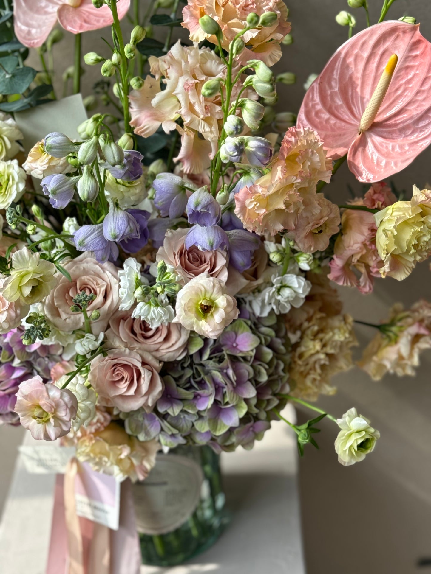 HORTENSIA MIA NO.3