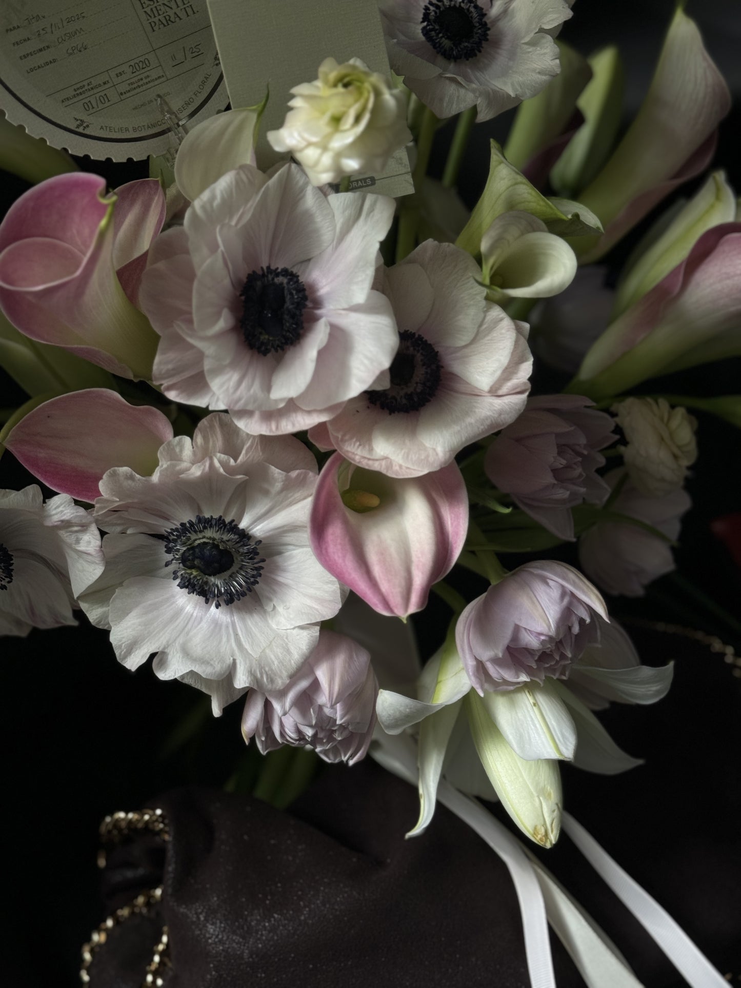 ANEMONE NO.1