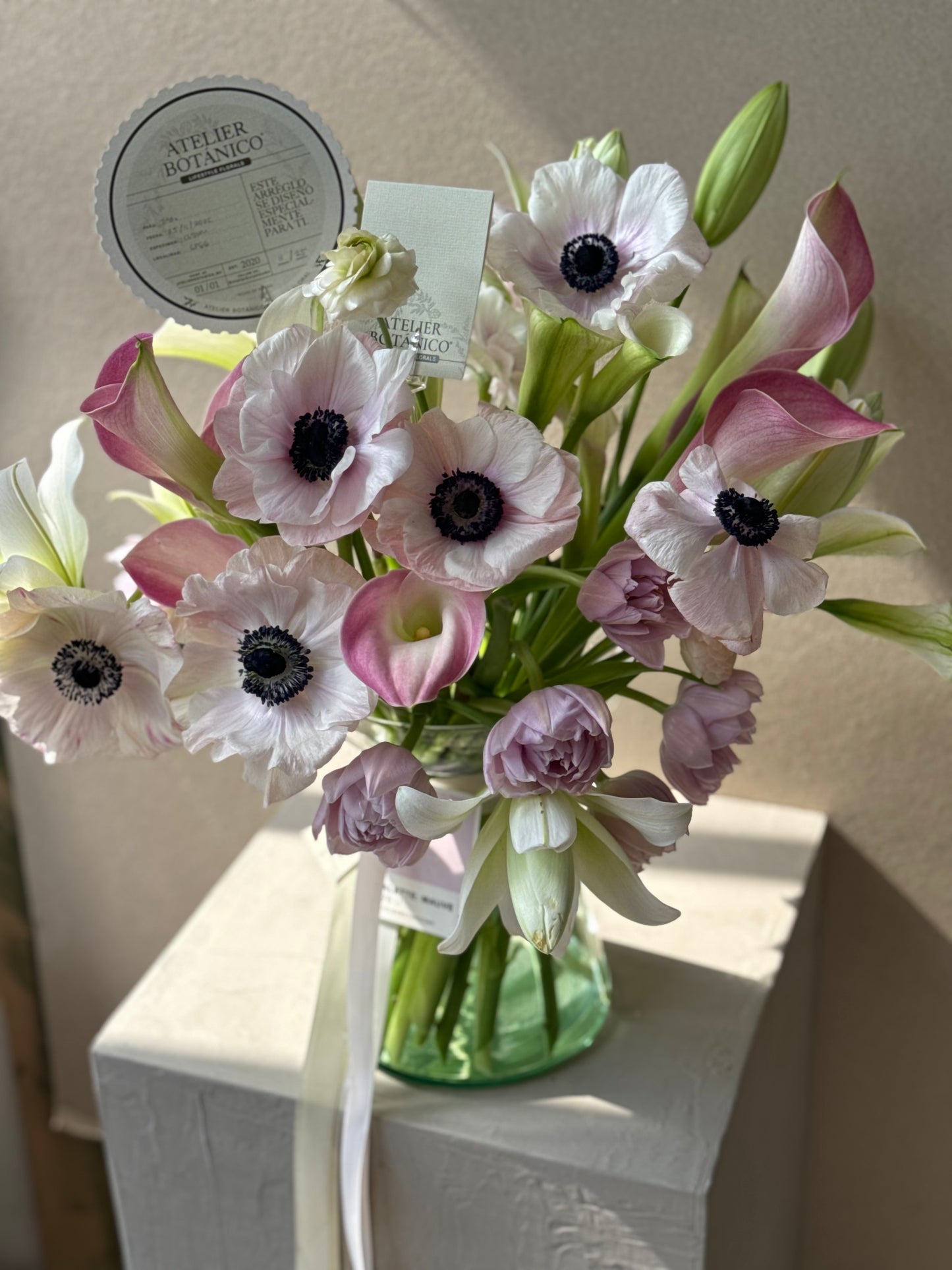 ANEMONE NO.1