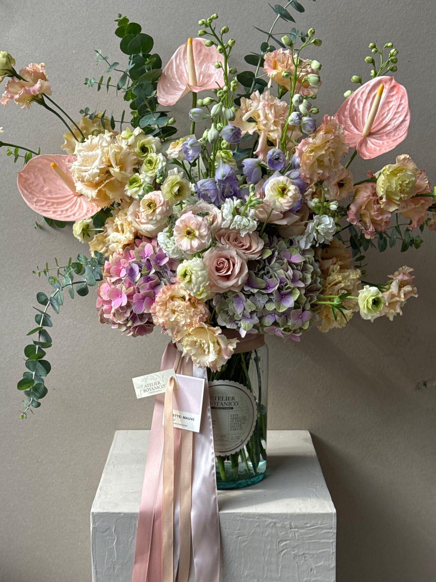 HORTENSIA MIA NO.3