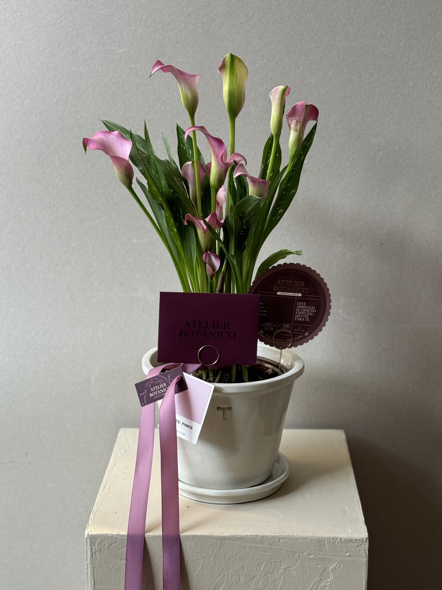 CALALILY PLANTER
