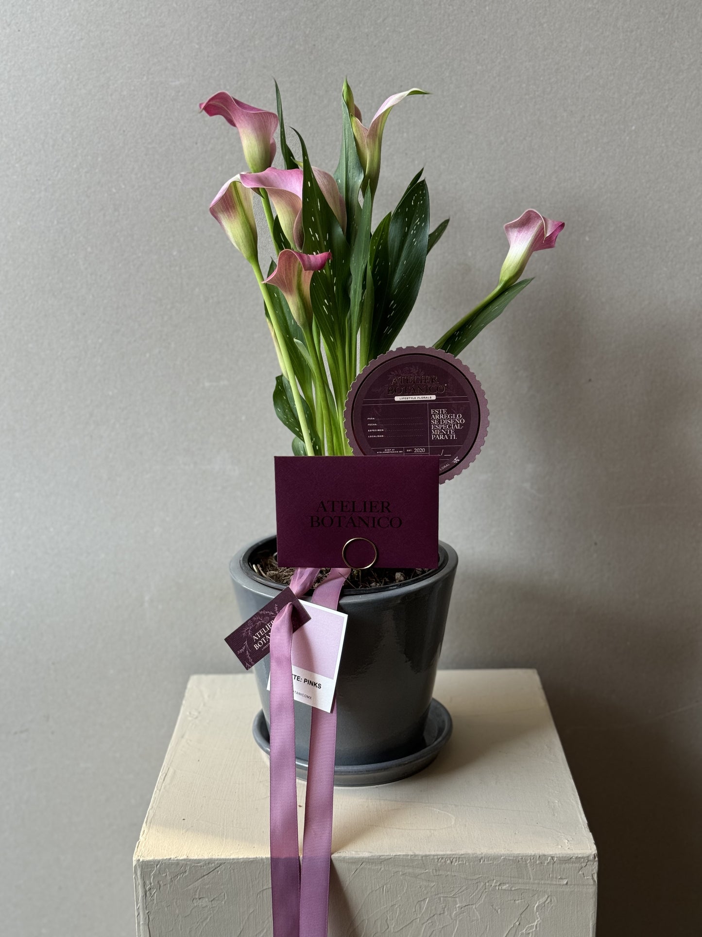 CALALILY PLANTER