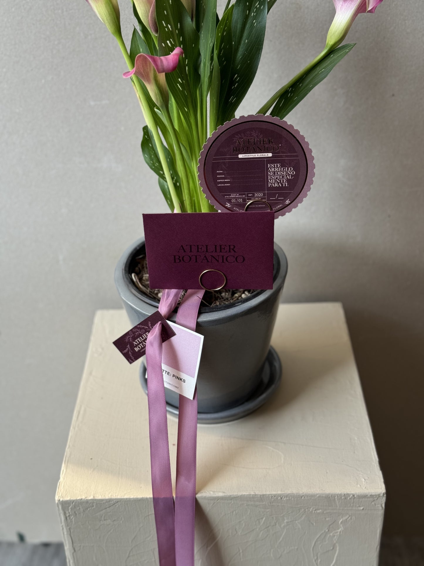 CALALILY PLANTER